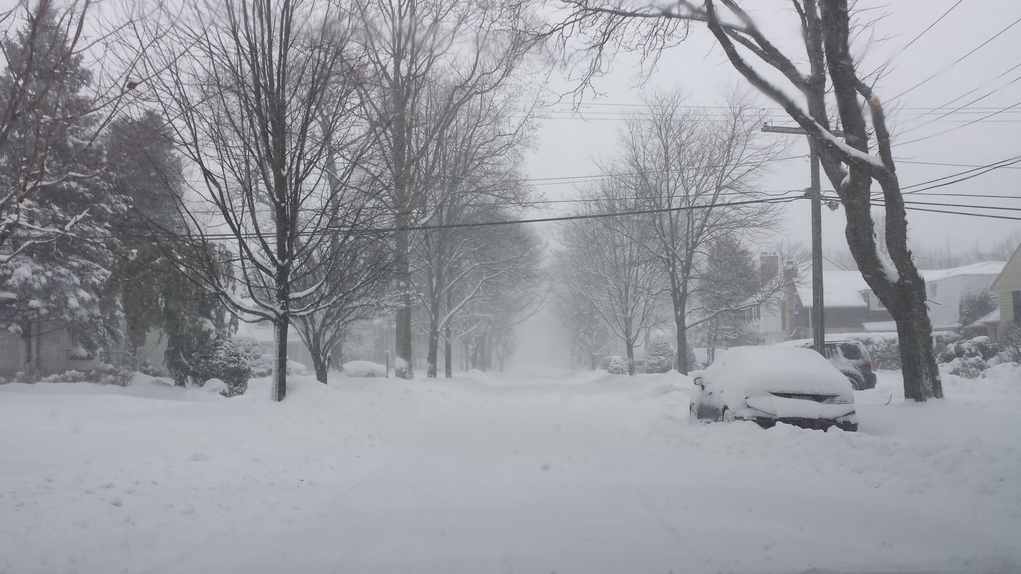 20150201_125503_50p.jpg