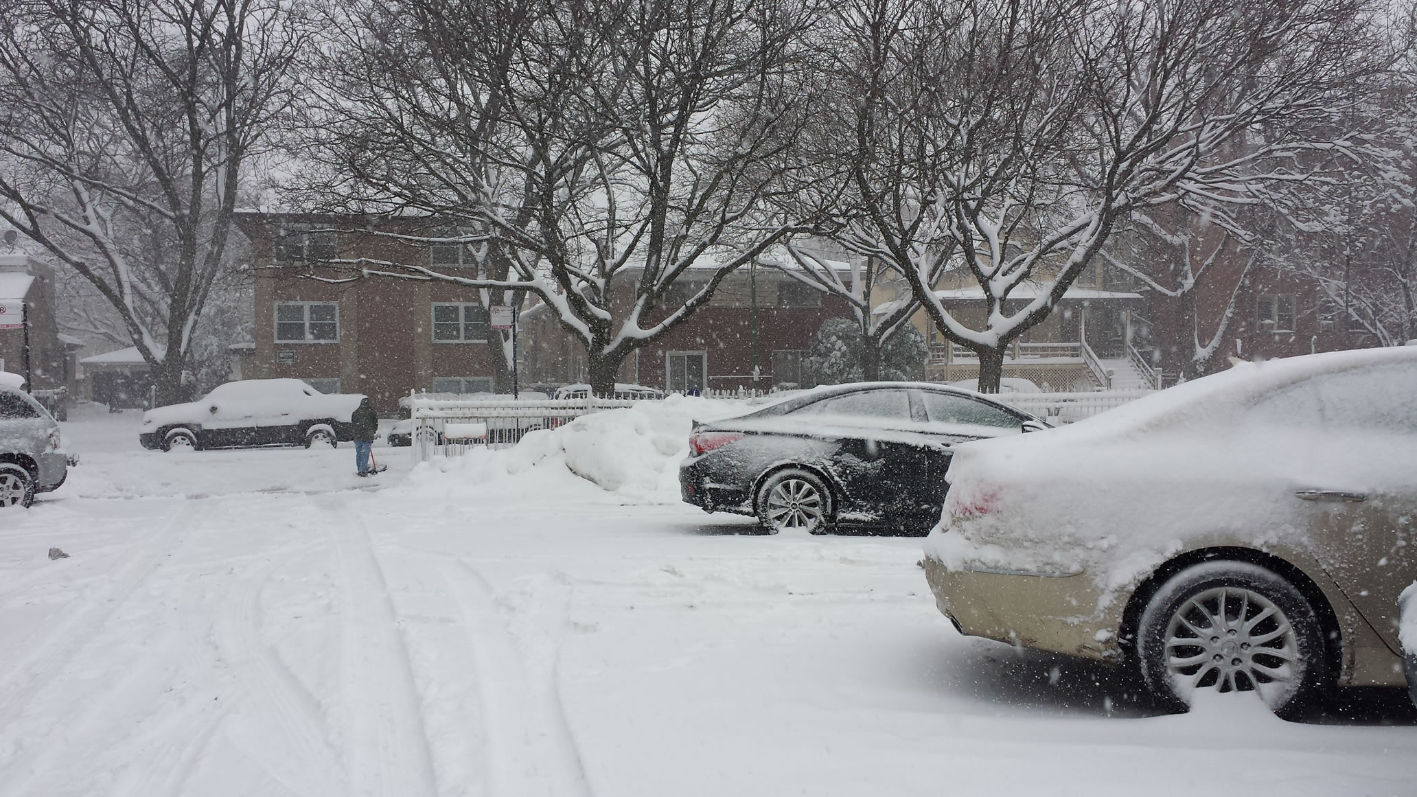 20150201_102542_50p.jpg