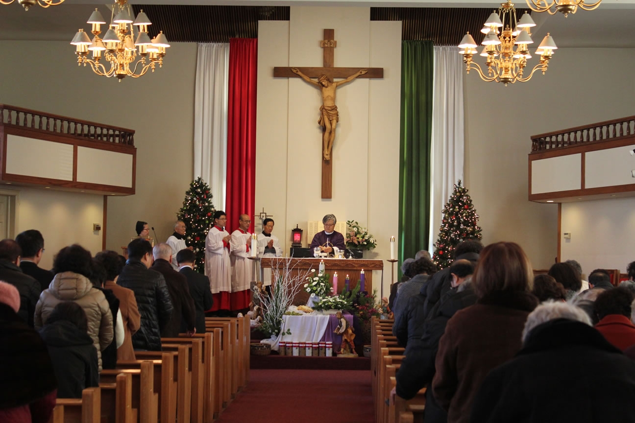 IMG_8674-25px80.JPG