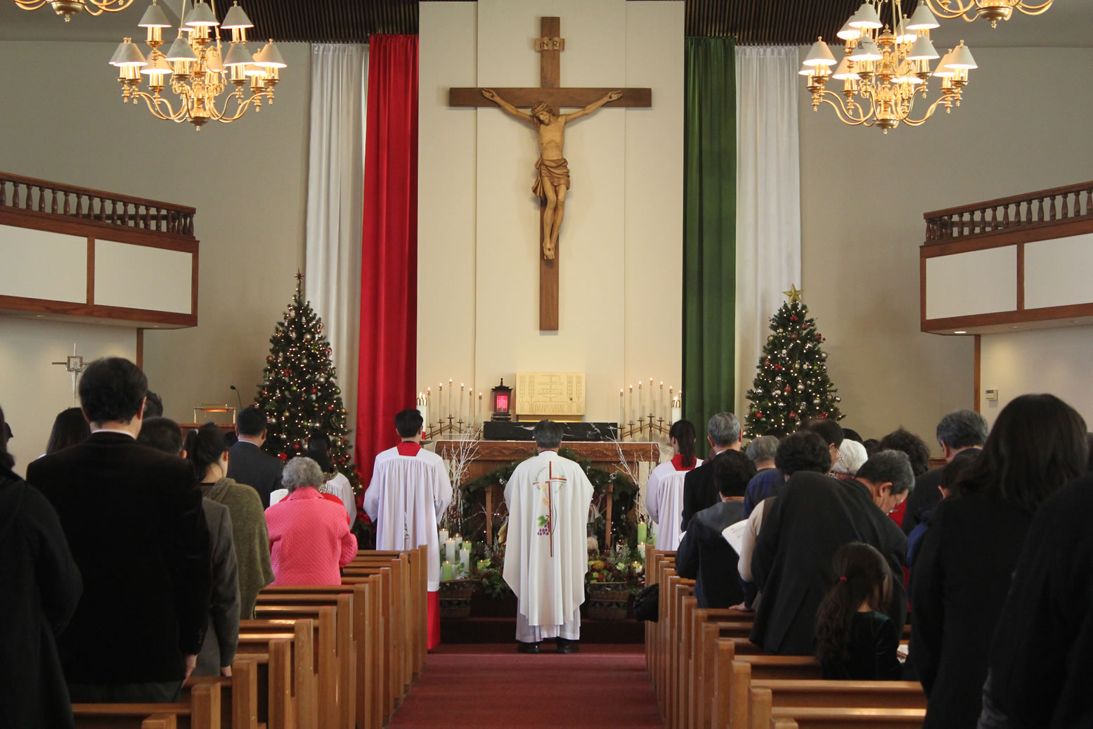 IMG_2267_80x30p.jpg