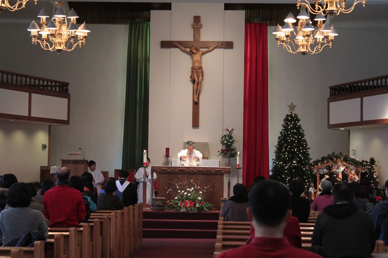 IMG_1035_25p_80.jpg