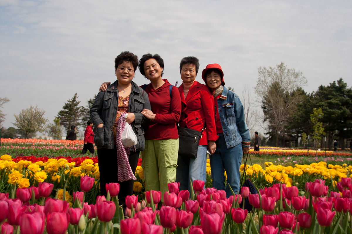 2012년 Holland Tulip Tour 2