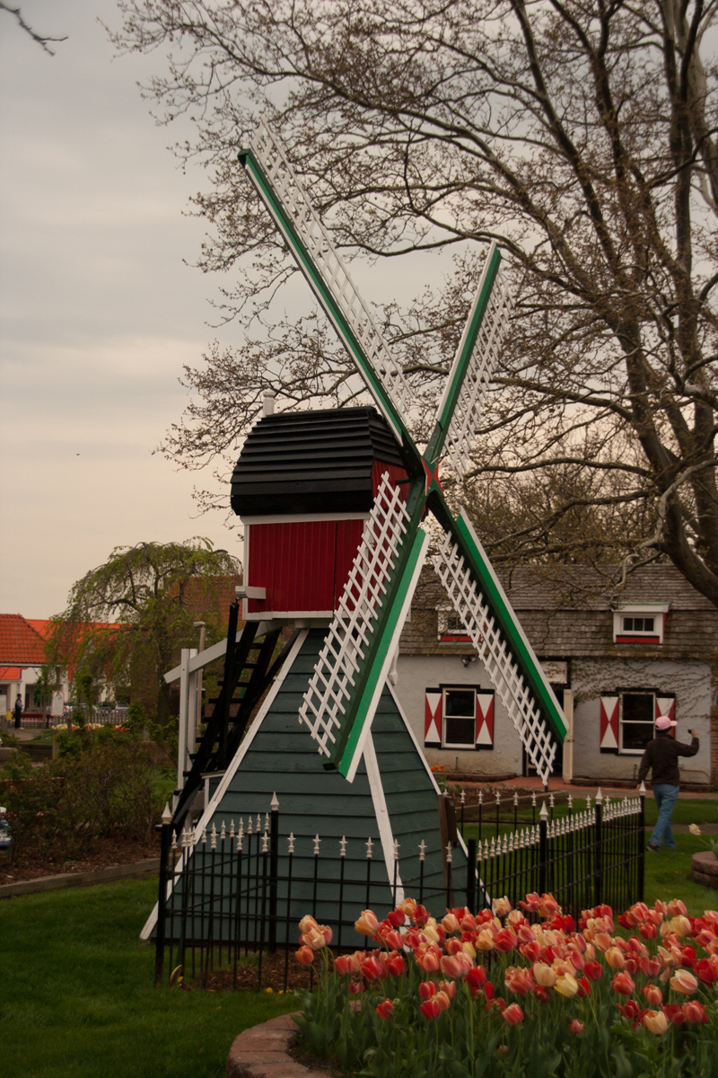 IMG_7168.jpg