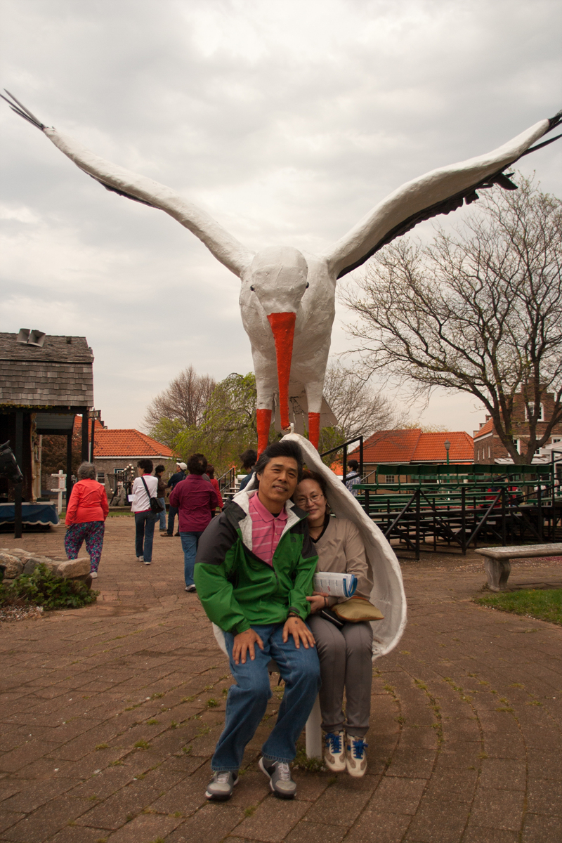 IMG_7172.jpg