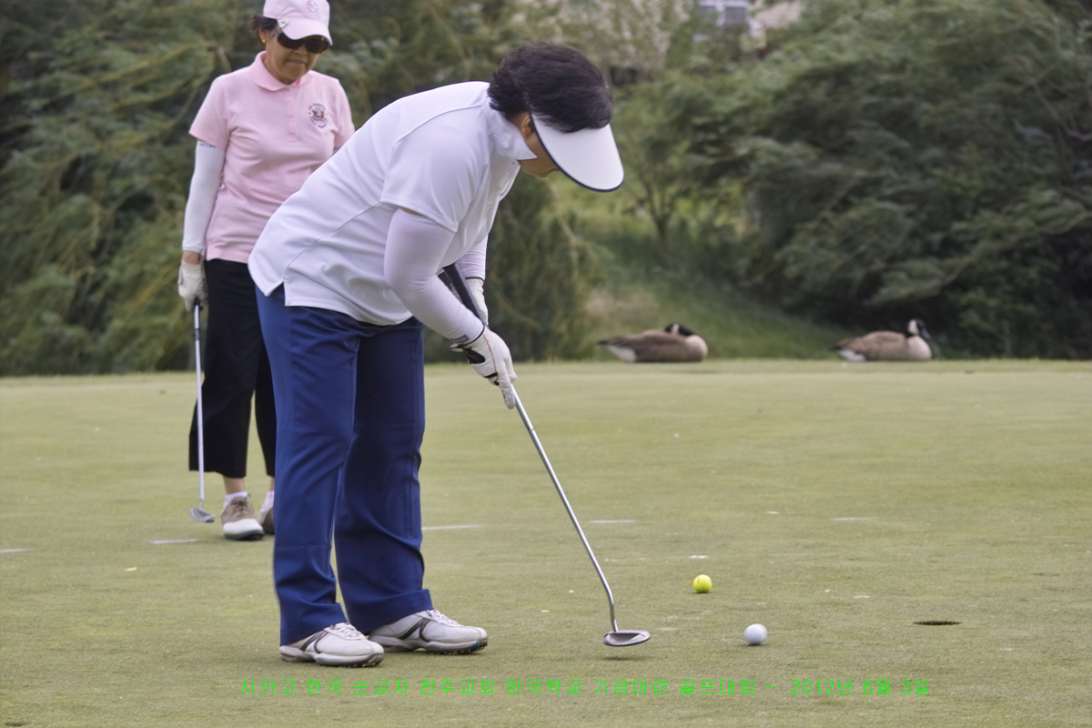 IMG22733.jpg