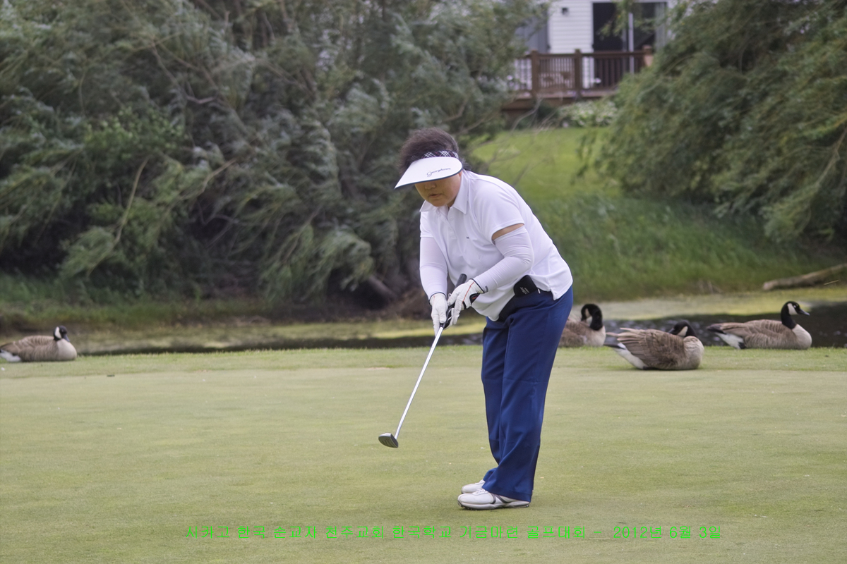 IMG22731.jpg